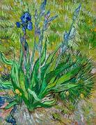 Vincent Van Gogh thinned cardboard Spain oil painting artist